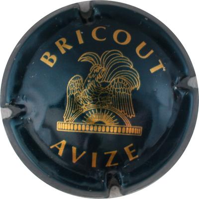 BRICOUT